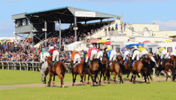 Bellewstown racecourse