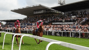 Beverley racecourse