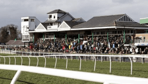 Catterick Odds