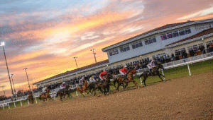 Chelmsford City Odds