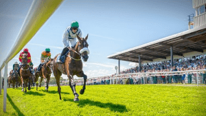 Downpatrick racecourse