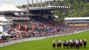 Goodwood Odds