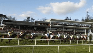 Gowran Park racecourse