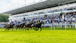 Hamilton Park Odds