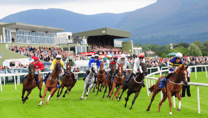 Killarney racecourse