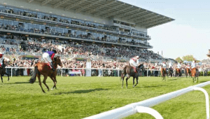 Leicester racecourse