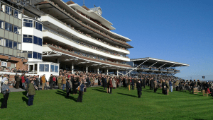 Newbury Odds