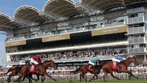 Newmarket Odds