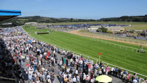 Newton Abbot Odds