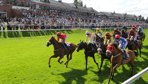 Pontefract Odds