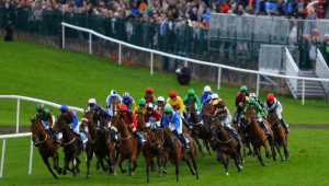 Punchestown Odds