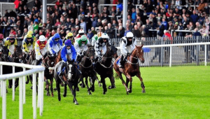 Roscommon racecourse