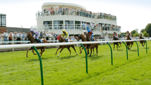 Salisbury Odds