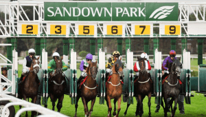 Sandown Park racecourse