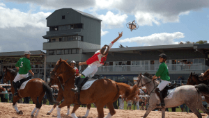 Southwell Odds