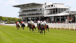 Wetherby Odds