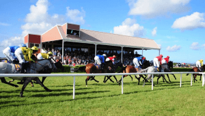 Wexford racecourse