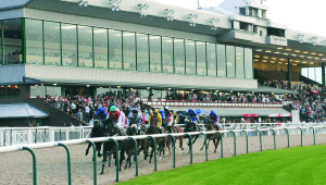 Wolverhampton Odds