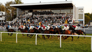 Worcester Odds