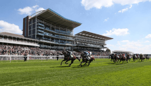 York Odds