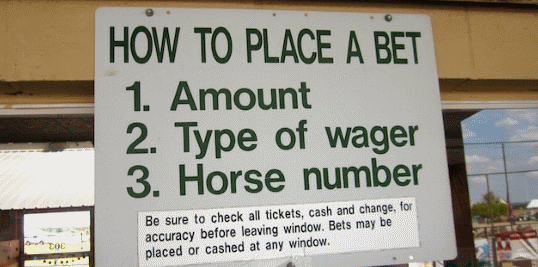 how to bet on racing