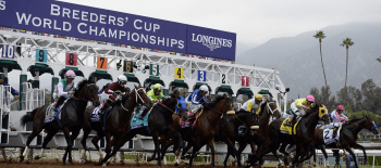 Breeders' Cup 2024