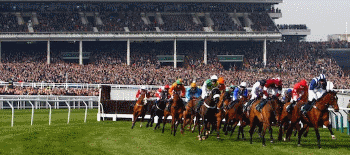 Cheltenham Festival 2025