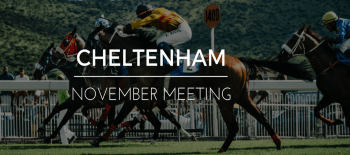 The November Meeting 2025