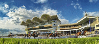 Guineas Festival 2024