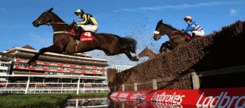 Coral Gold Cup Meeting 2025