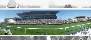Great Yorkshire Chase 2025