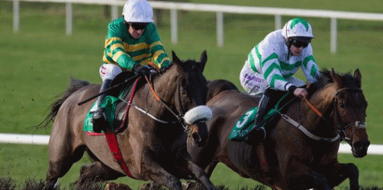 Troytown Handicap Chase Betting Wide Open at Navan