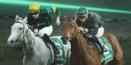 This Weekend £50,000 prize in bet365’s free-to-play 6 Horses Challenge