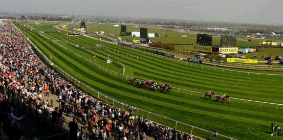 Jonbon and Heart Wood Head Market in JCB Melling Chase