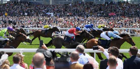 Hurst Park Handicap Chase Betting Headed by Teddy Blue