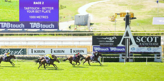 Alaskan God Heads Betting for 2023 Perth Cup