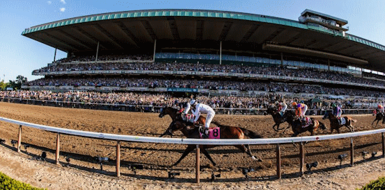 Sierra Leone and Fierceness Head Belmont Stakes Betting