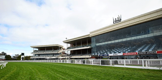 Half Yours Could Be the One to Beat in Caulfield Cup