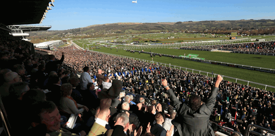 Arkle Challenge Trophy Trial Novices' Chase Market Headed by July Flower