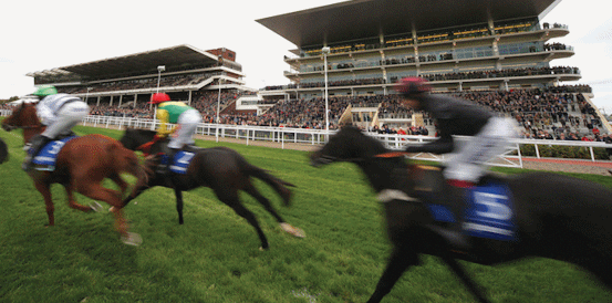 Jagwar and Vincenzo Head December Gold Cup Cheltenham Betting