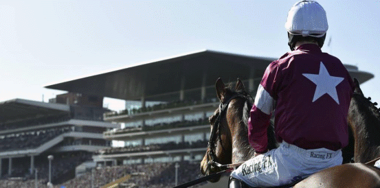 Masterson Holdings Hurdle Prediction: North Shore