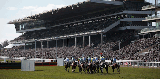 Who Will Win the 2026 Cheltenham Gold Cup?