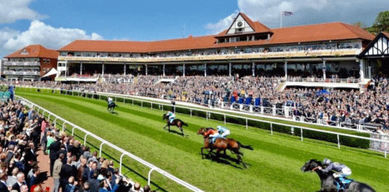 Hamish All the Rage for the Virgin Bet Stand Cup Stakes