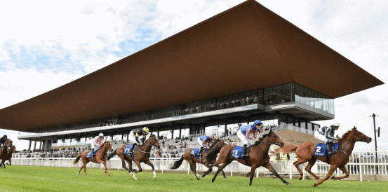 Can Jan Brueghel Storm to Irish St Leger Success at the Curragh?