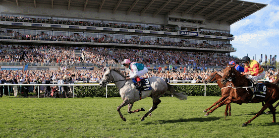 Park Stakes Prediction: Flora Of Bermuda
