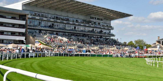 Montassib Could Be All the Rage for Wentworth Stakes