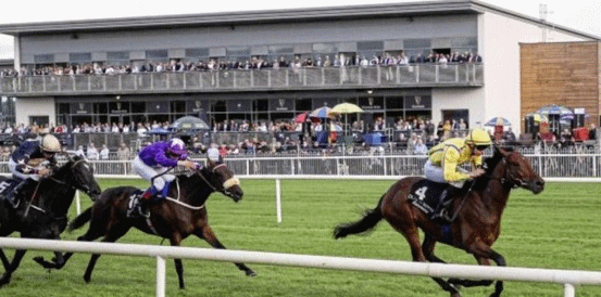 Gerri Colombe Huge Favourite for Ladbrokes Champion Chase