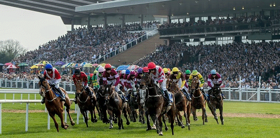 Lossiemouth and Teahupoo Set for Hatton’s Grace Hurdle Showdown