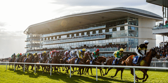 Daddy Long Legs Heads Galway Hurdle Betting Market