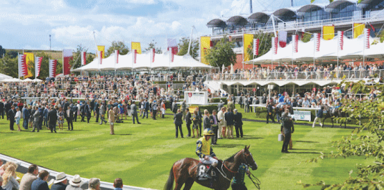 Vintage Stakes Prediction: Al Hudaiba